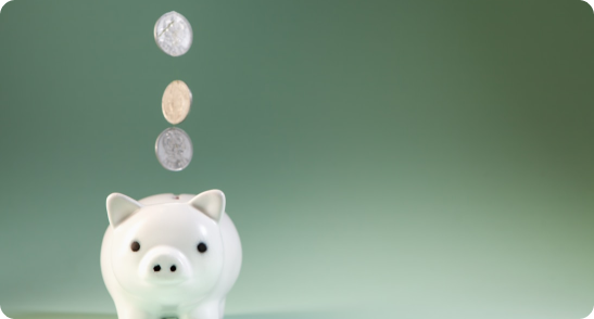 Automated Credit Scoring